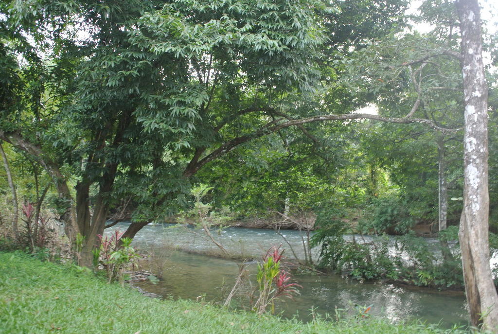 靠苏克岛度假酒店 Khao Sok National Park 外观 照片