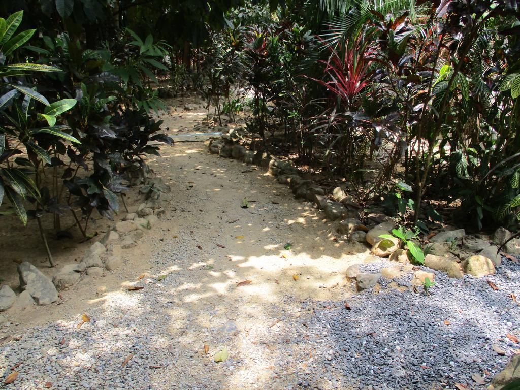 靠苏克岛度假酒店 Khao Sok National Park 外观 照片