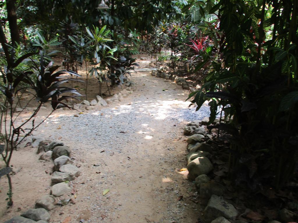 靠苏克岛度假酒店 Khao Sok National Park 外观 照片