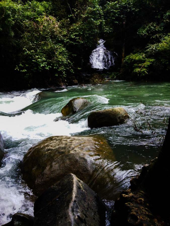 靠苏克岛度假酒店 Khao Sok National Park 外观 照片